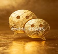 收wx秒结，轻松实现交易效率最大化—您的便捷支付新选择